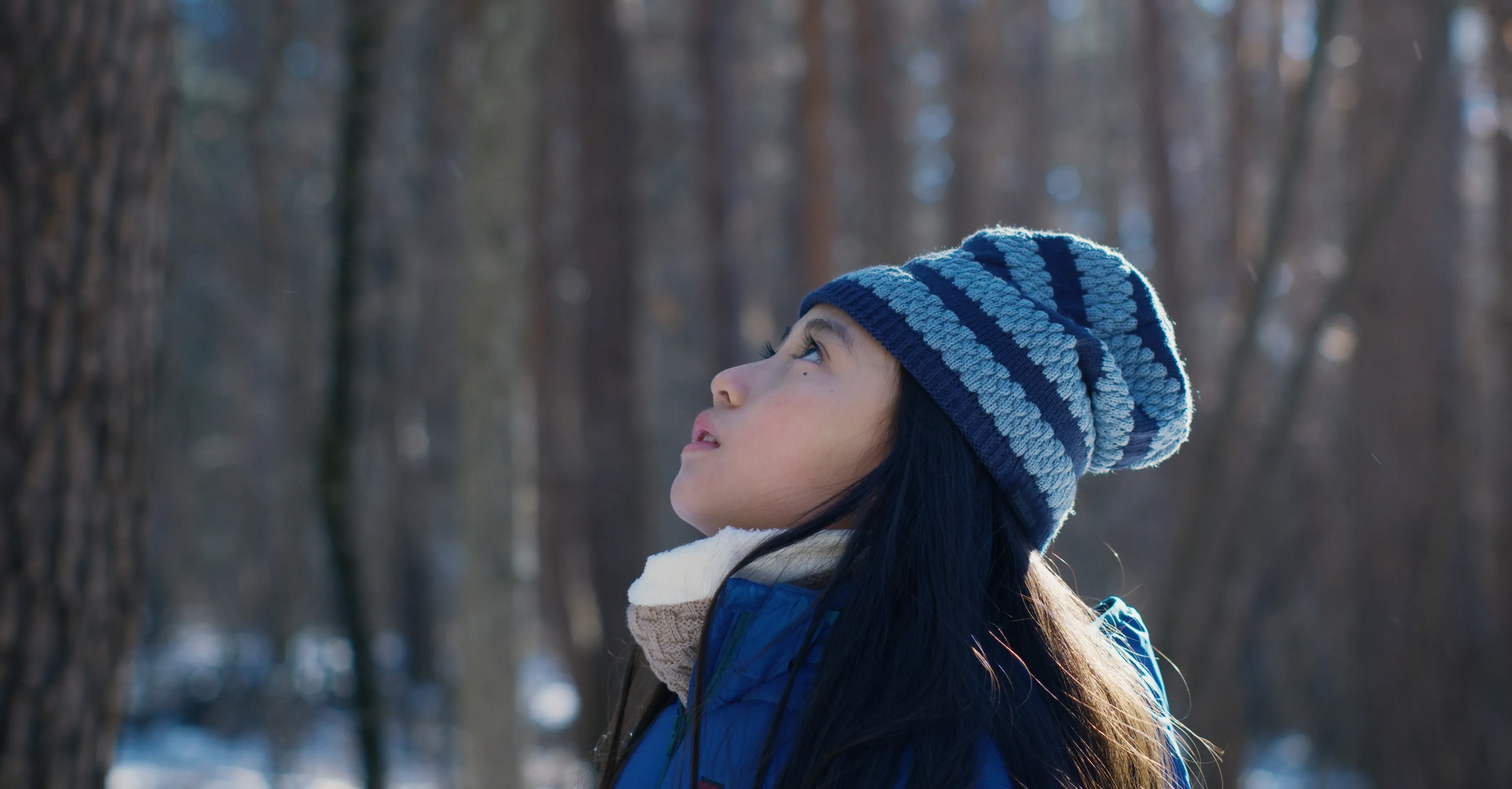 Evil Does Not Exist is On its Own Wavelength