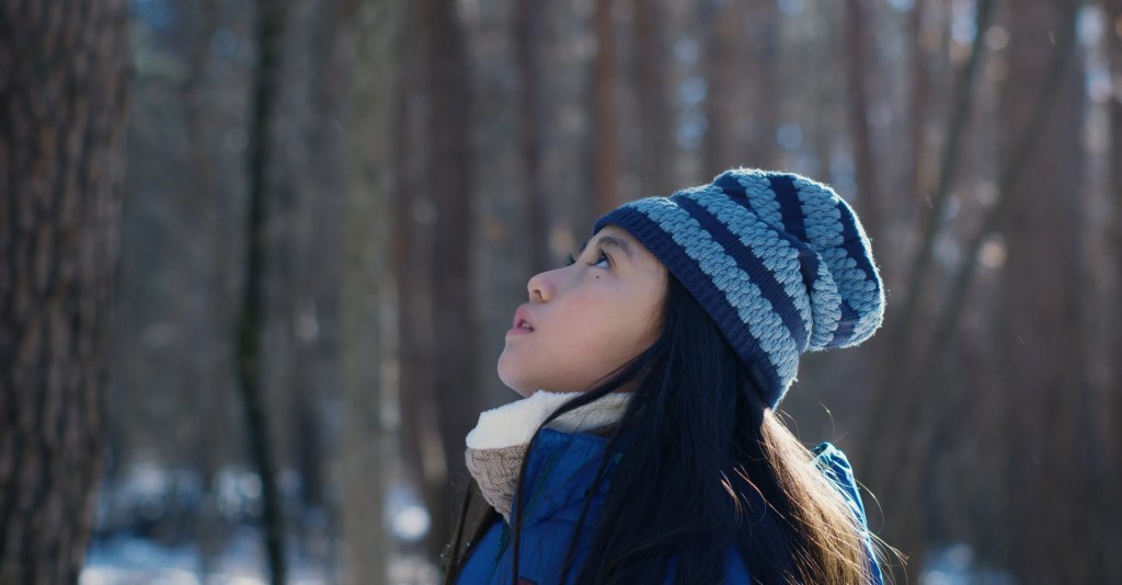 Evil Does Not Exist is On its Own&nbsp;Wavelength