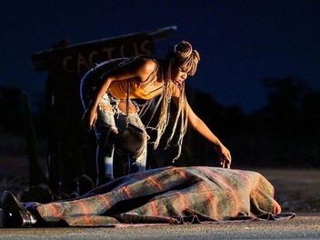 On Becoming a Guinea Fowl Knows that Actions Speak Louder than Words