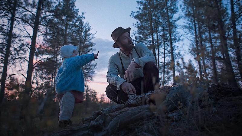 Train Dreams Possesses a Beauty that Defies&nbsp;Explication